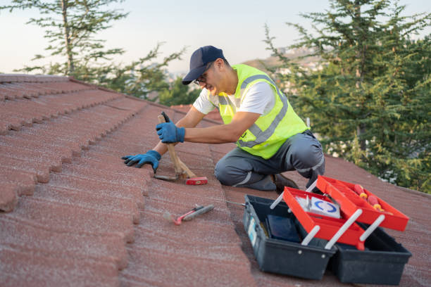 Best Roof Gutter Cleaning  in Takoma Park, MD